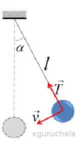 Motion Equations