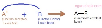 Electrophile and Nucleophile