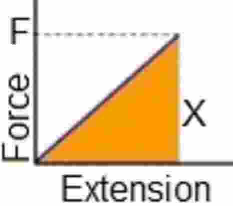 elastic behavior of Solids