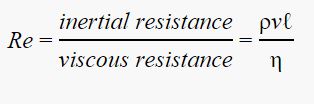 Reynolds number formula