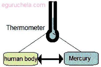 Zeroth Law of Thermodynamics